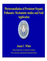 Phytoremediation of Persistent Organic Pollutants: Mechanistic Studies and Field Application