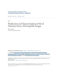 Purification and Characterization of Novel Nucleases from a Thermophilic Fungus Kyle S