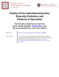 Studies of the Laboulbeniomycetes: Diversity, Evolution, and Patterns of Speciation