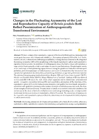 Changes in the Fluctuating Asymmetry of the Leaf and Reproductive Capacity of Betula Pendula Roth Reﬂect Pessimization of Anthropogenically Transformed Environment