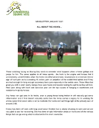 Newsletter January 2021 All About the Hocks…