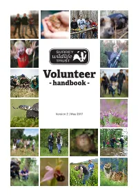 Volunteer - Handbook