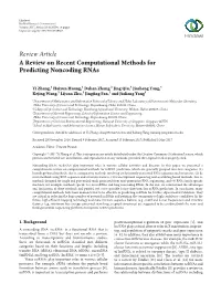 A Review on Recent Computational Methods for Predicting Noncoding Rnas