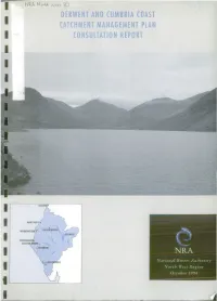 Derwent and Cumbria Coast Catchment Management Plan Consultation Report