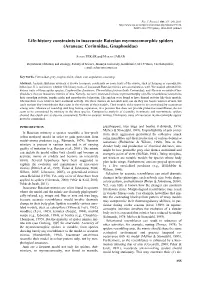 Life-History Constraints in Inaccurate Batesian Myrmecomorphic Spiders (Araneae: Corinnidae, Gnaphosidae)