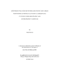 Lipid Production, Photosynthesis Adjustment and Carbon