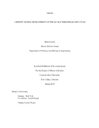 Thesis a Kinetic Model Development of the M13
