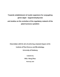 Towards Establishment of Model Organisms for Conjugating Green