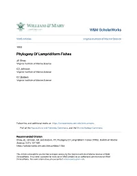Phylogeny of Lampridiform Fishes
