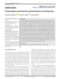 Morphological and Kinematic Specializations of Walking Frogs