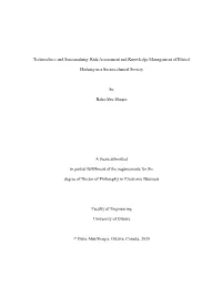 Risk Assessment and Knowledge Management of Ethical Hacking In