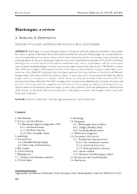 Bluetongue: a Review