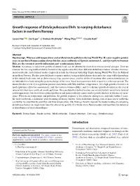 Growth Response of Betula Pubescens Ehrh. to Varying Disturbance Factors in Northern Norway