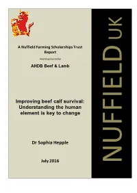 Improving Beef Calf Survival: Understanding the Human Element Is Key to Change
