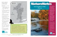 Naturenotes: Madam Brett Park