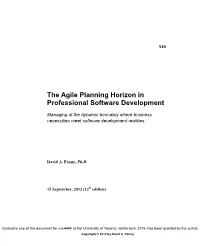 The Agile Planning Horizon in Professional Software Development