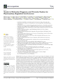 Trends in Molecular Diagnosis and Diversity Studies for Phytosanitary Regulated Xanthomonas