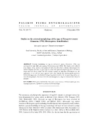 CANDAN S., SULUDERE Z. Studies on the External Morphology of The