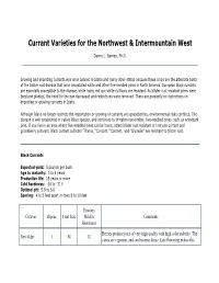 Currant Varieties (PDF)