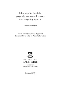 Holomorphic Flexibility Properties of Complements and Mapping Spaces