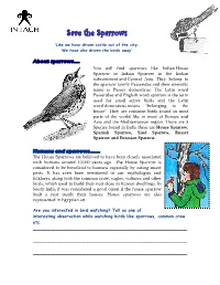 Save the Sparrows