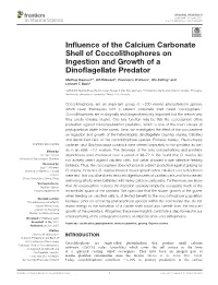 Influence of the Calcium Carbonate Shell Of