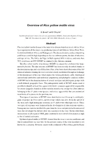 Overview of Rice Yellow Mottle Virus