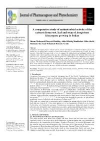 A Comparative Study of Antimicrobial Activity of the Extracts from Root, Leaf