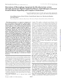 Execution of Macrophage Apoptosis by Mycobacterium Avium Through