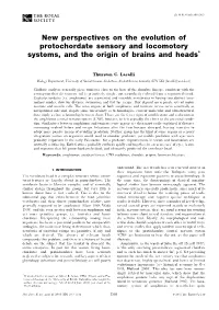 New Perspectives on the Evolution of Protochordate Sensory and Locomotory Systems, and the Origin of Brains and Heads*