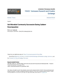 Soil Microbial Community Succession During Cadaver Decomposition