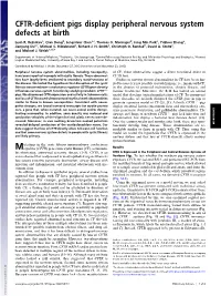 CFTR-Deficient Pigs Display Peripheral Nervous System Defects at Birth
