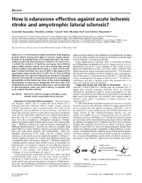 How Is Edaravone Effective Against Acute Ischemic Stroke And