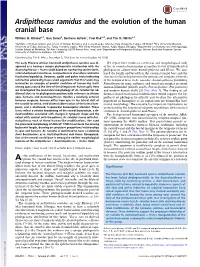 Ardipithecus Ramidus and the Evolution of the Human Cranial Base