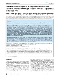 Genome-Wide Footprints of Pig Domestication and Selection Revealed Through Massive Parallel Sequencing of Pooled DNA