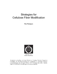 Strategies for Cellulose Fiber Modification