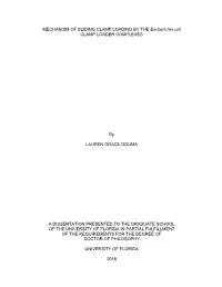 University of Florida Thesis Or Dissertation Formatting