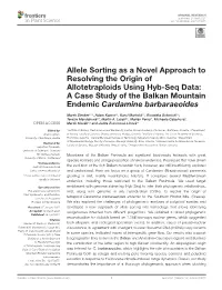 Allele Sorting As a Novel Approach to Resolving the Origin of Allotetraploids Using Hyb-Seq Data: a Case Study of the Balkan Mountain Endemic Cardamine Barbaraeoides