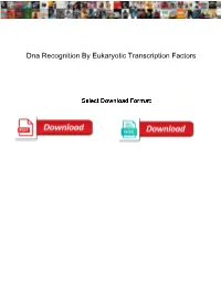 Dna Recognition by Eukaryotic Transcription Factors