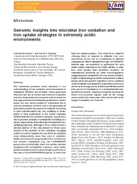 Genomic Insights Into Microbial Iron Oxidation and Iron Uptake Strategies in Extremely Acidic Environments