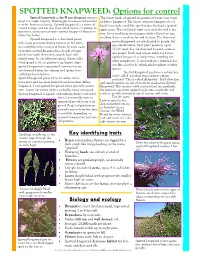 SPOTTED KNAPWEED: Options for Control
