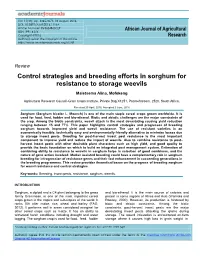 Control Strategies and Breeding Efforts in Sorghum for Resistance to Storage Weevils