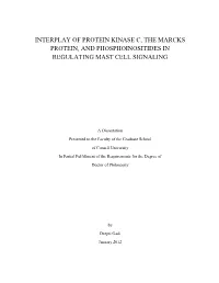 Dg265thesispdf.Pdf