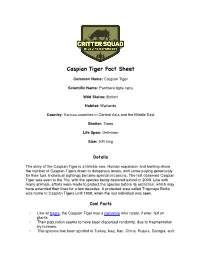Caspian Tiger Fact Sheet