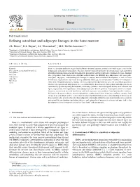 Defining Osteoblast and Adipocyte Lineages in the Bone Marrow
