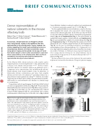 Dense Representation of Natural Odorants in the Mouse Olfactory Bulb