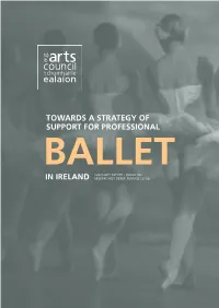 Towards a Strategy of Support for Professional in Ireland