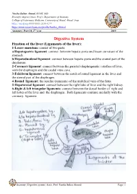 Digestive System