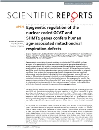 Epigenetic Regulation of the Nuclear-Coded GCAT and SHMT2