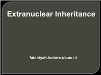 Extranuclear Inheritance